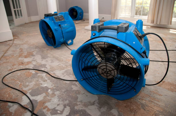 Best Water damage restoration near me  in Summerville, SC