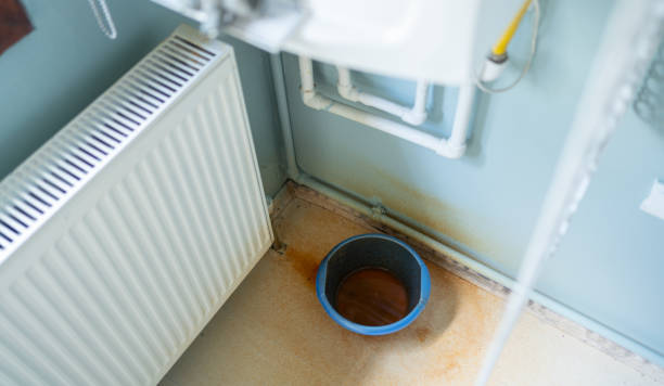 Best Mold removal after water damage  in Summerville, SC