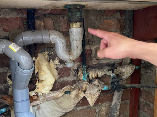 Best Water damage contractors near me  in Summerville, SC