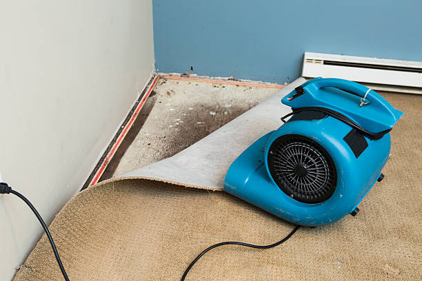 Trusted Summerville, SC Water damage restoration Experts